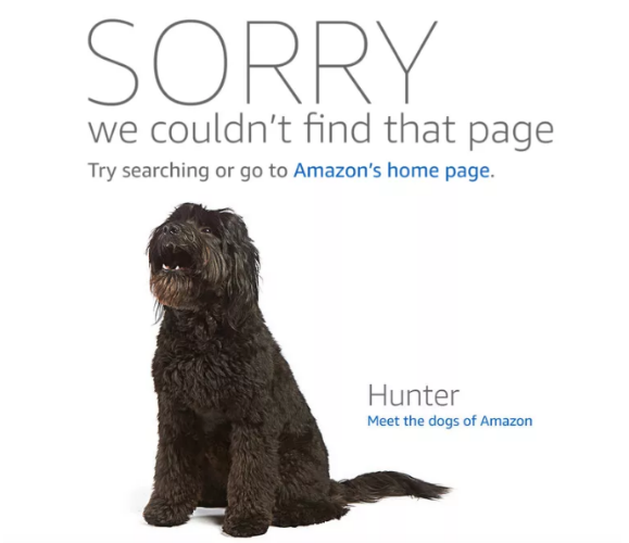 又挂一个!亚马逊卖家半年来的艰辛谁懂?